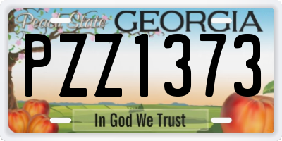 GA license plate PZZ1373