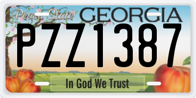 GA license plate PZZ1387