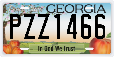 GA license plate PZZ1466