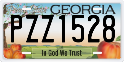 GA license plate PZZ1528