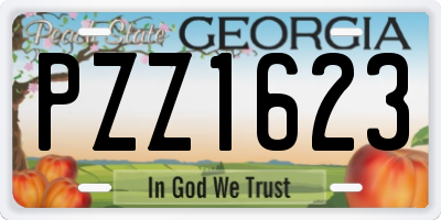 GA license plate PZZ1623