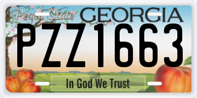 GA license plate PZZ1663