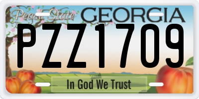GA license plate PZZ1709