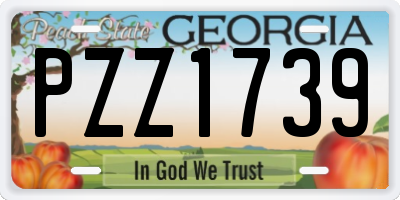 GA license plate PZZ1739