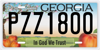 GA license plate PZZ1800