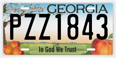 GA license plate PZZ1843