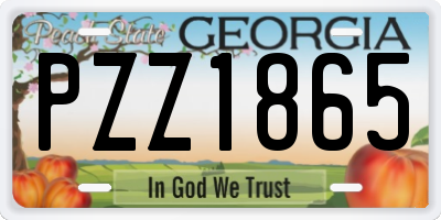 GA license plate PZZ1865