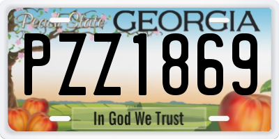 GA license plate PZZ1869