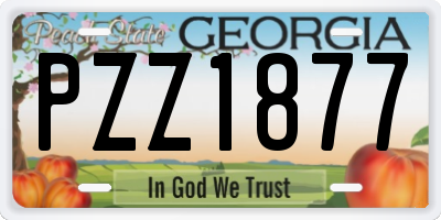 GA license plate PZZ1877