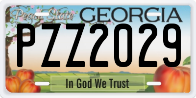 GA license plate PZZ2029