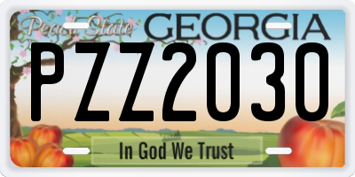 GA license plate PZZ2030