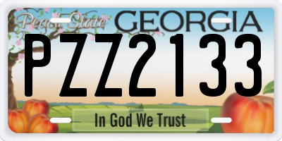 GA license plate PZZ2133