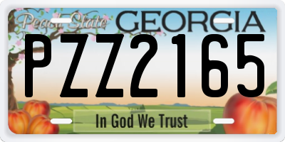 GA license plate PZZ2165