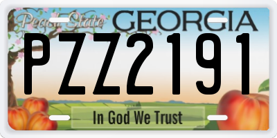 GA license plate PZZ2191