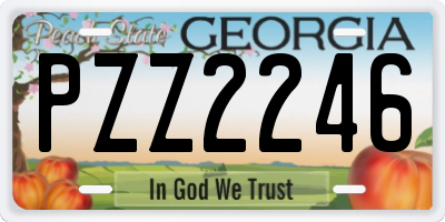 GA license plate PZZ2246