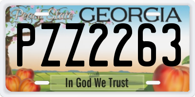 GA license plate PZZ2263