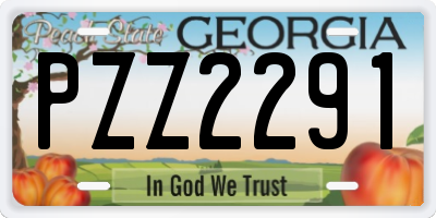 GA license plate PZZ2291