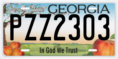 GA license plate PZZ2303