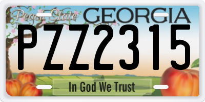 GA license plate PZZ2315