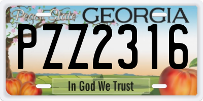 GA license plate PZZ2316