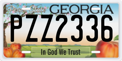 GA license plate PZZ2336