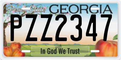GA license plate PZZ2347