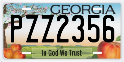 GA license plate PZZ2356