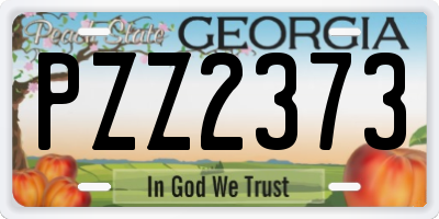 GA license plate PZZ2373