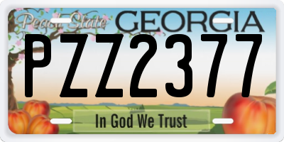 GA license plate PZZ2377