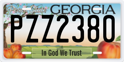 GA license plate PZZ2380