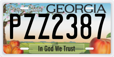 GA license plate PZZ2387