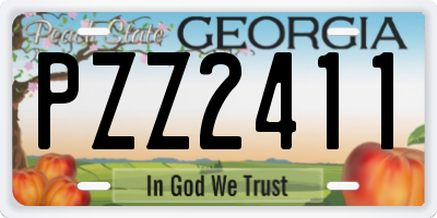 GA license plate PZZ2411
