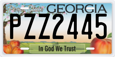 GA license plate PZZ2445