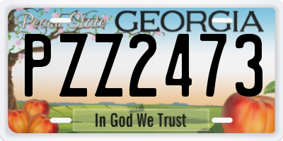 GA license plate PZZ2473