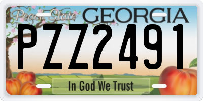 GA license plate PZZ2491