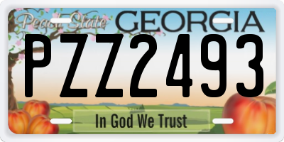 GA license plate PZZ2493