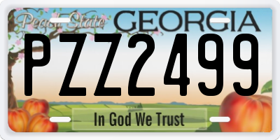 GA license plate PZZ2499