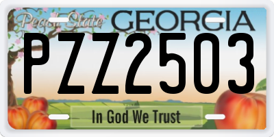 GA license plate PZZ2503