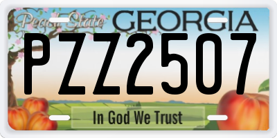 GA license plate PZZ2507
