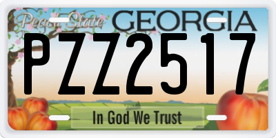 GA license plate PZZ2517