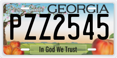 GA license plate PZZ2545