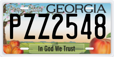GA license plate PZZ2548