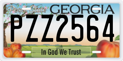 GA license plate PZZ2564