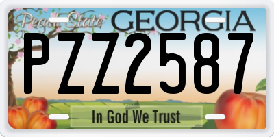 GA license plate PZZ2587