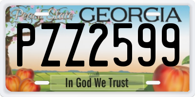GA license plate PZZ2599
