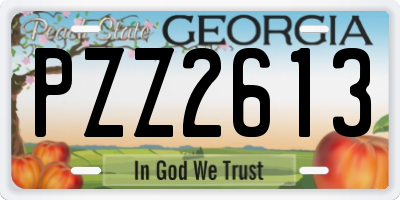 GA license plate PZZ2613