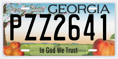 GA license plate PZZ2641