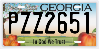 GA license plate PZZ2651