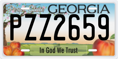 GA license plate PZZ2659
