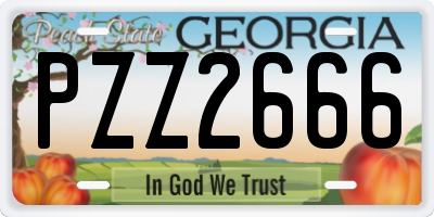 GA license plate PZZ2666
